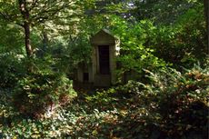 Herbst-Friedhof 005.jpg